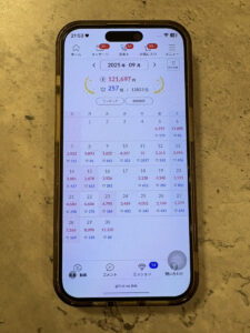 私が実際にポケットワークで稼いだ実績