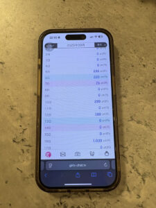 私が実際にガールズチャットで稼いだ実績