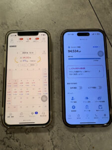 ポケットワークの利用画面